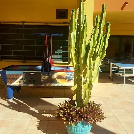 Vv Atlantic Garden With Pool View, Near Διαμέρισμα *